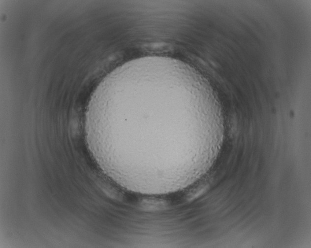 X0000081320515200702020002