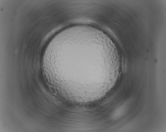 X0000081320531200702020002