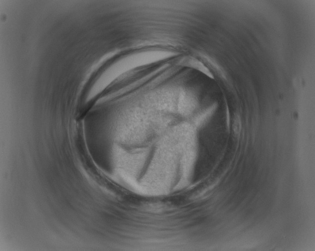 X0000081320540200702020002