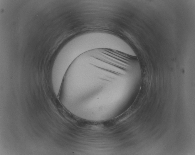 X0000081320548200702020002