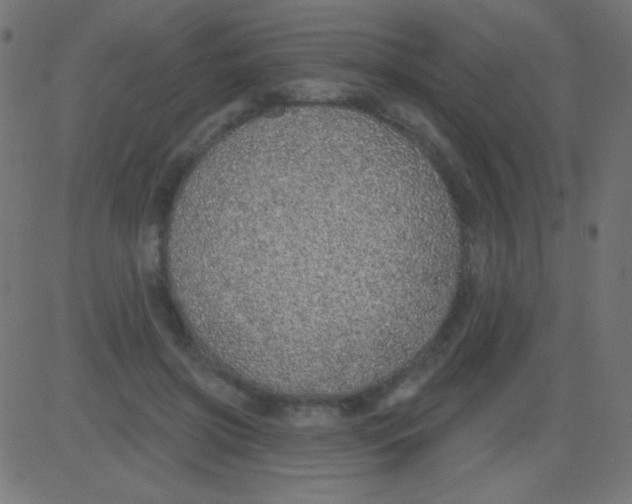 X0000081320549200702020002
