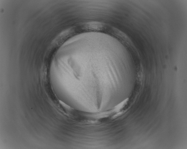 X0000081320552200702020002