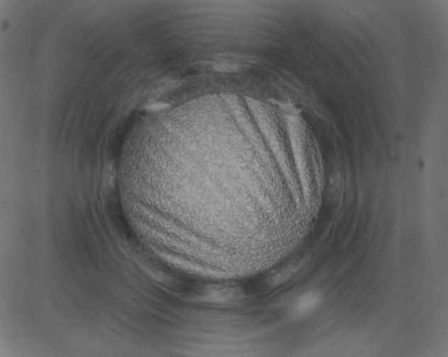 X0000081320555200702020002