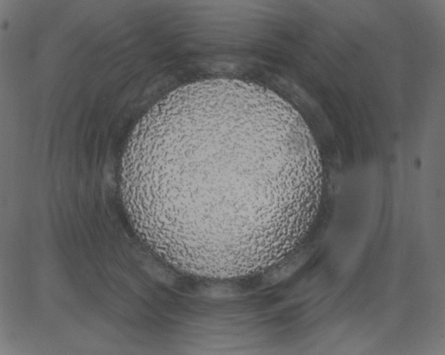 X0000081320561200702020002