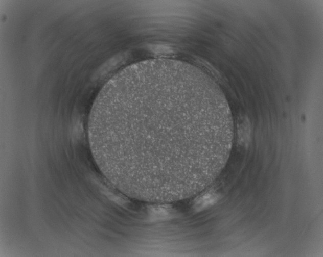 X0000081320618200702020001