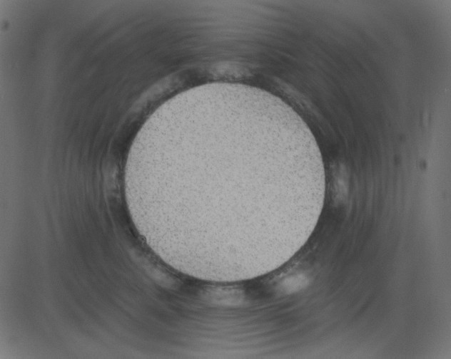 X0000081320619200702020001