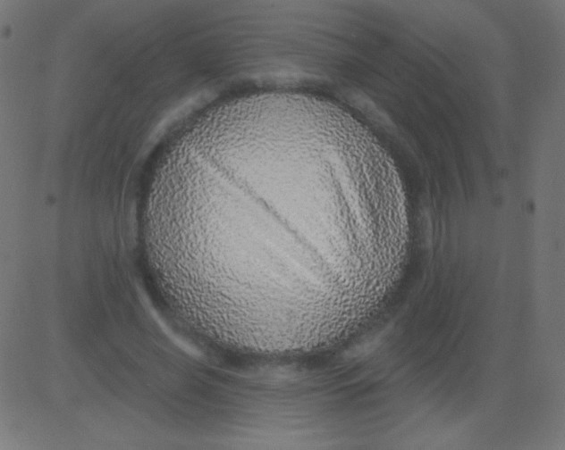 X0000081320638200702020000
