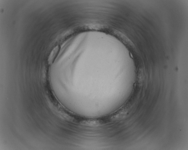 X0000081320639200702020000
