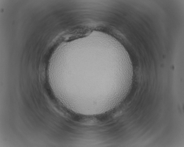 X0000081320642200702020000