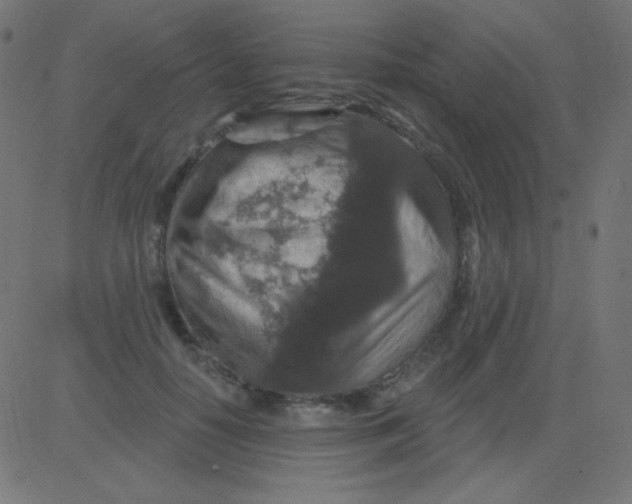 X0000081320650200702020000