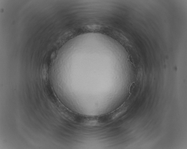X0000081320651200702020000