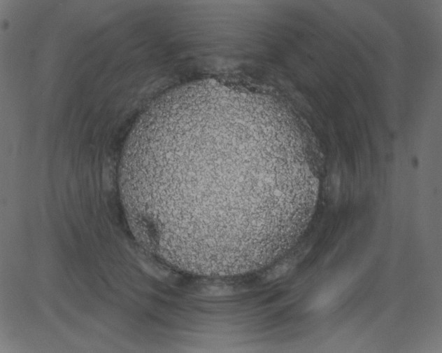 X0000081320658200702020000