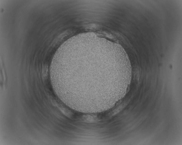 X0000081320660200702020000