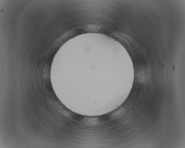 X0000081320665200702020001
