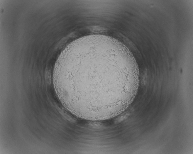 X0000081320666200702020001