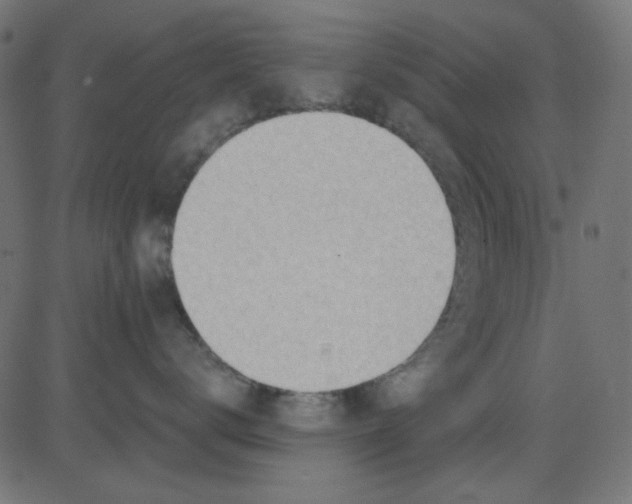 X0000081320672200702020001