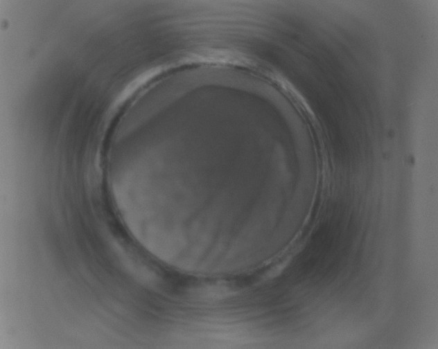 X0000081320674200702020000