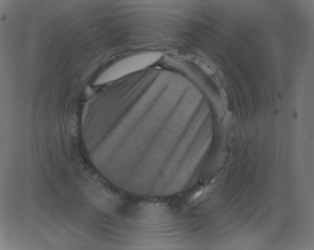 X0000081320689200702020000