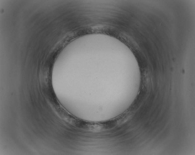 X0000081320698200702012359