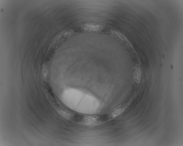 X0000081320701200702012359