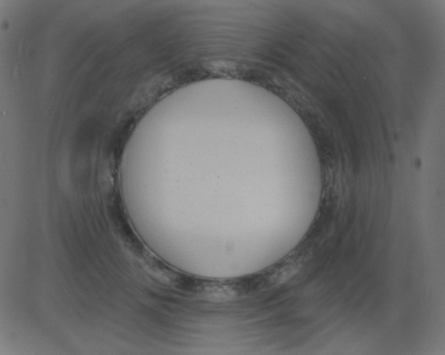 X0000081320702200702012359