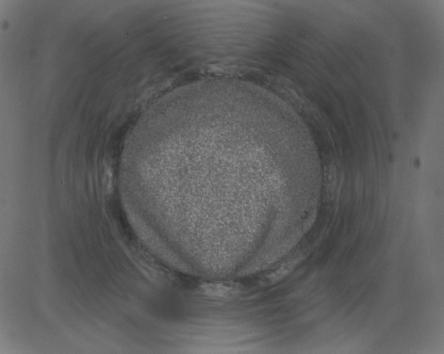 X0000081320703200702012359