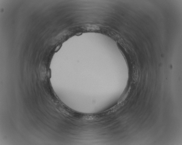 X0000081320704200702012359