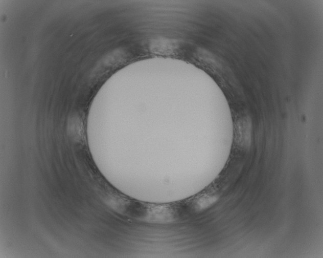 X0000081320705200702012359