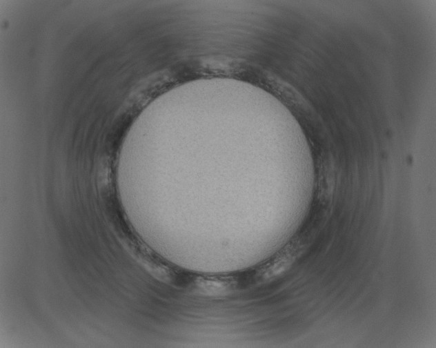 X0000081320706200702012359