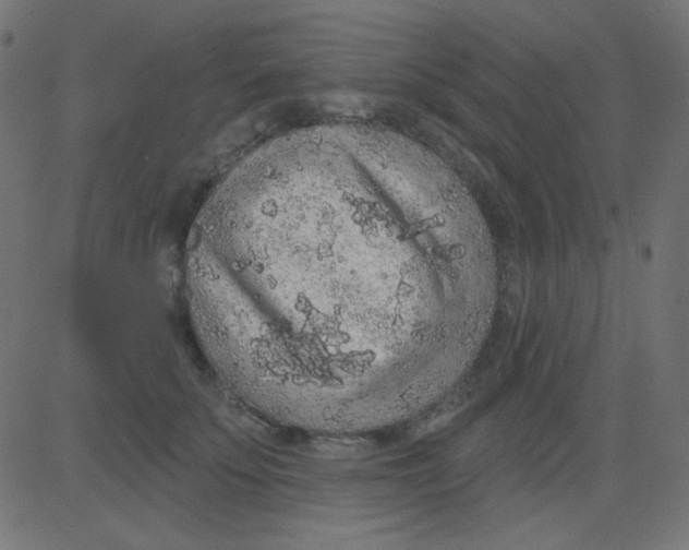 X0000081320707200702012359