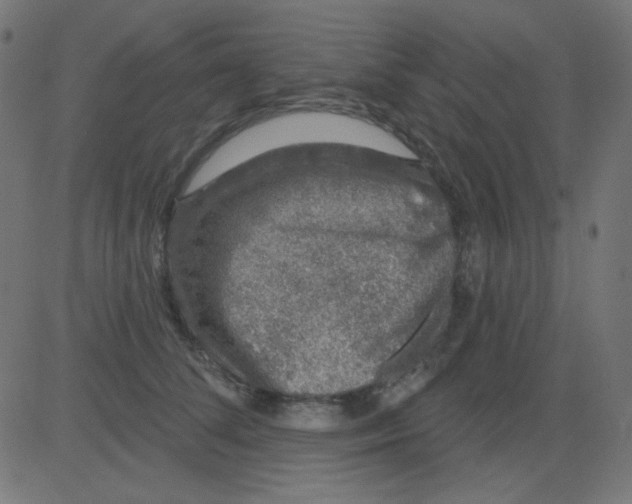 X0000081320708200702012359
