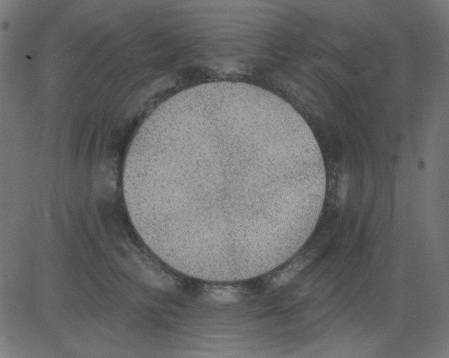 X0000081320710200702012359