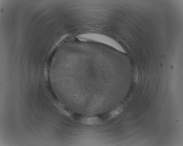 X0000081320716200702012359