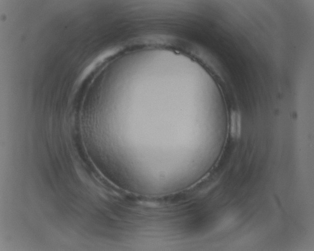 X0000081320723200702012358