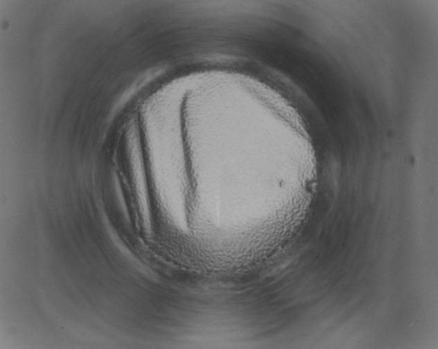 X0000081320734200702012359