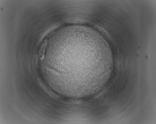 X0000081320735200702012359