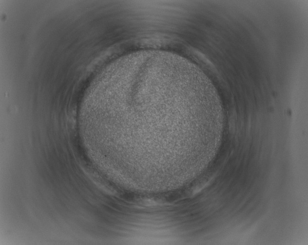 X0000081320737200702012359