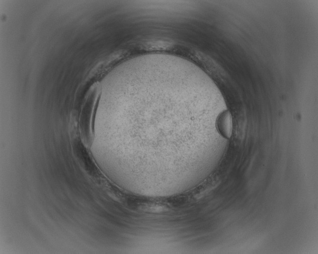 X0000081320743200702012359