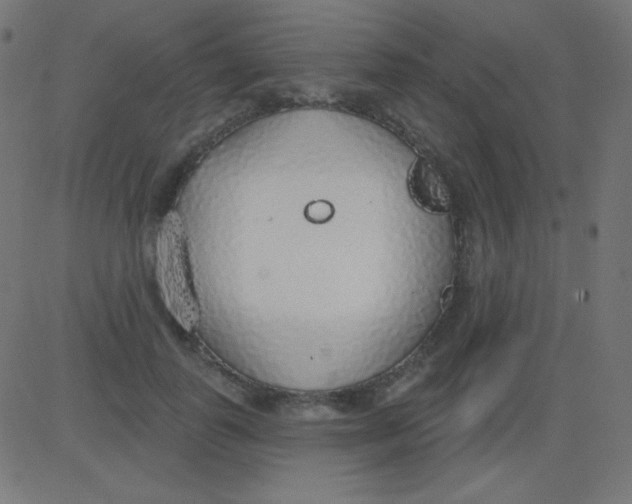 X0000081320747200702012359