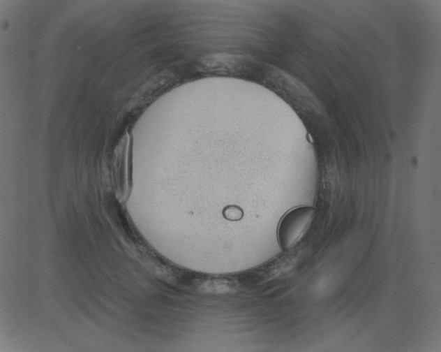 X0000081320751200702012359