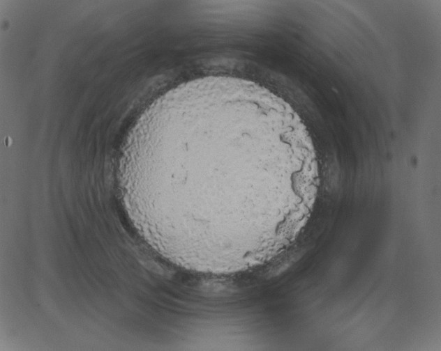 X0000081320753200702012359