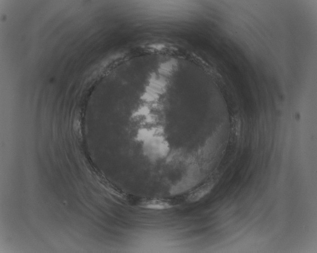 X0000081320754200702012359