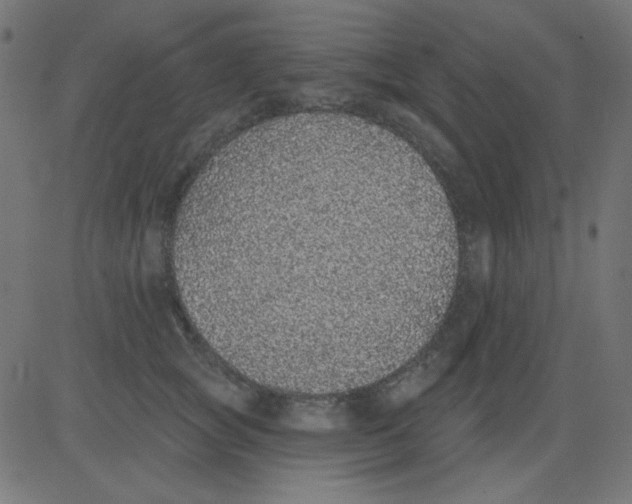 X0000081320757200702012359