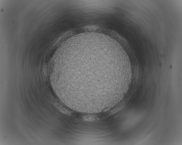 X0000081320761200702012359
