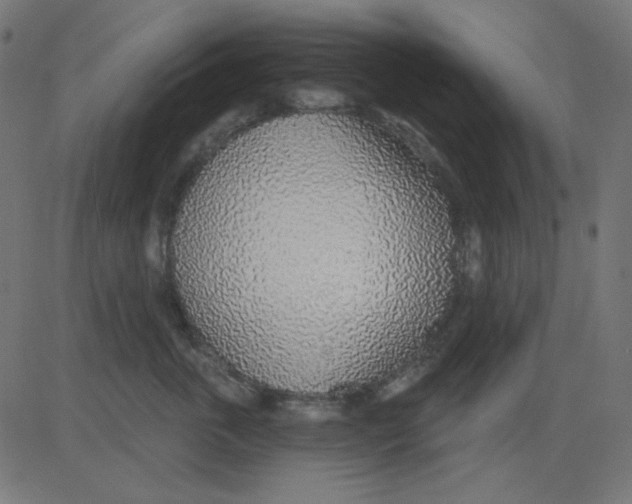 X0000081320763200702012359