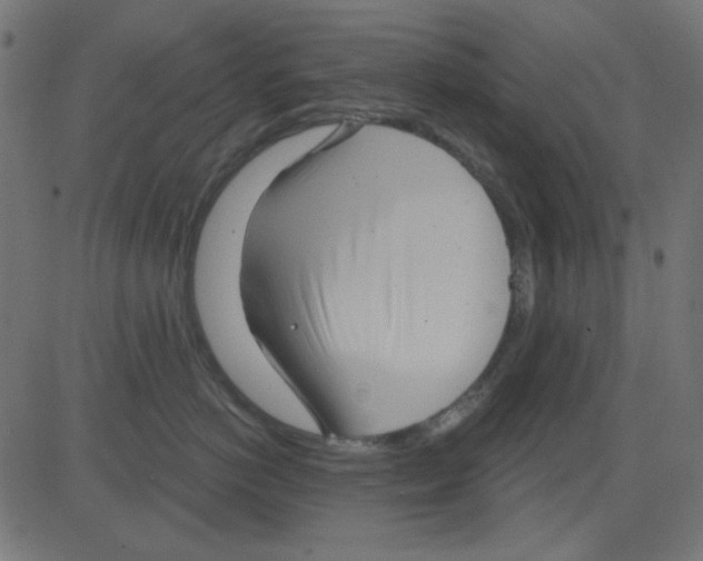 X0000081320766200702012359