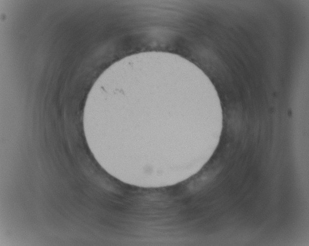 X0000081320769200702012358