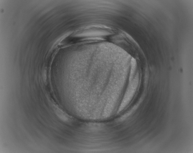 X0000081320777200702012358