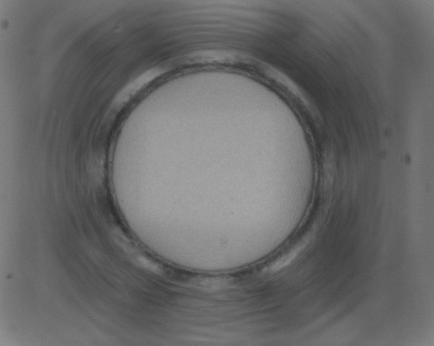 X0000081320778200702012358