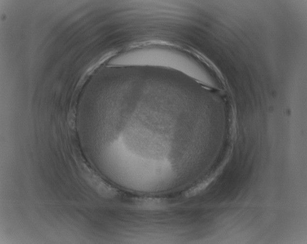 X0000081320785200702012358